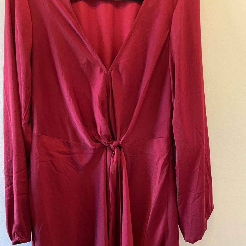 Express Dress - Picture 4 of 4